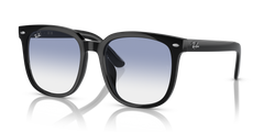 Sunglasses Ray-Ban RB4401D 601/19 57 20