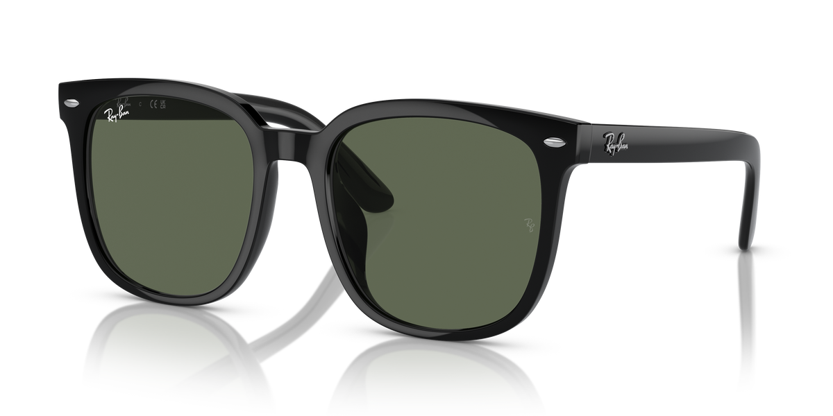 Sunglasses Ray-Ban RB4401D 601/71 55 20