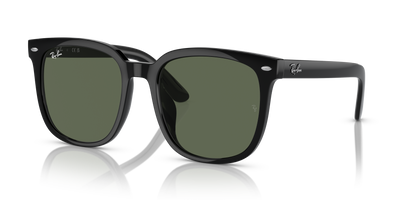 Sunglasses Ray-Ban RB4401D 601/71 55 20