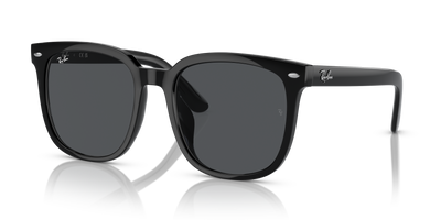 Sunglasses Ray-Ban RB4401D 601/87