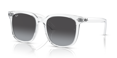 Sunglasses Ray-Ban RB4401D 64478G