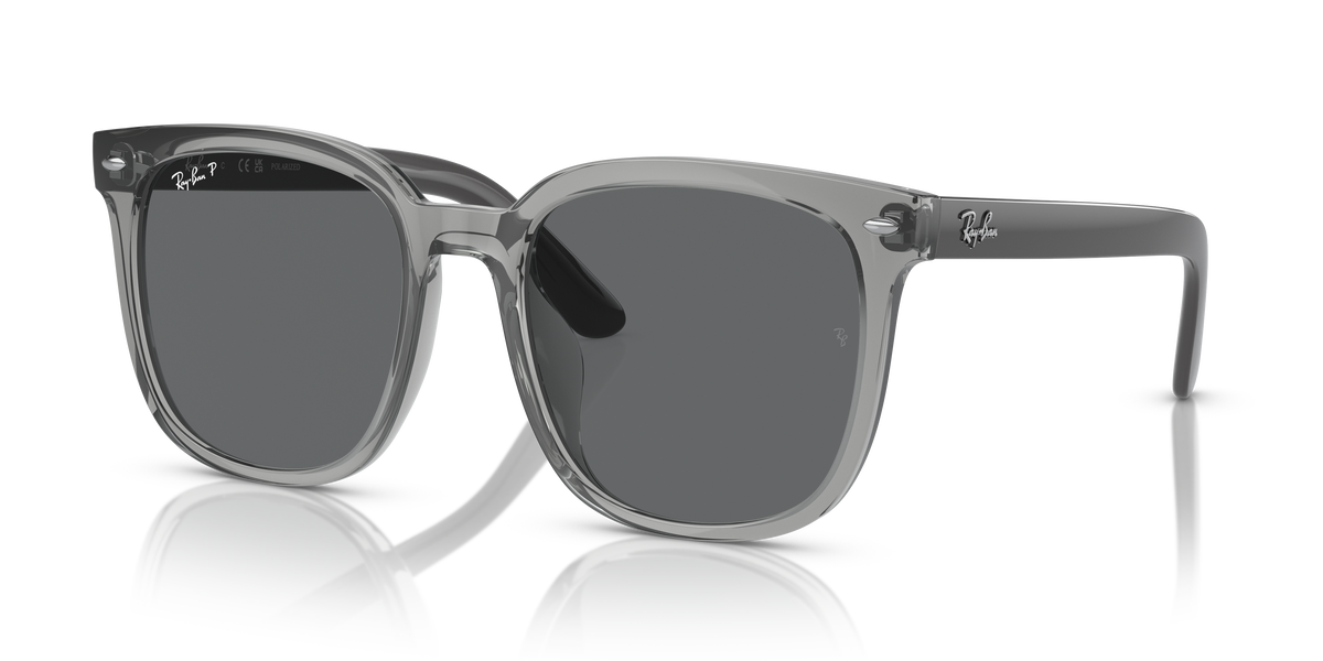 Sunglasses Ray-Ban RB4401D 659981 55 20