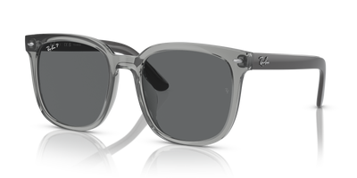 Sunglasses Ray-Ban RB4401D 659981 55 20