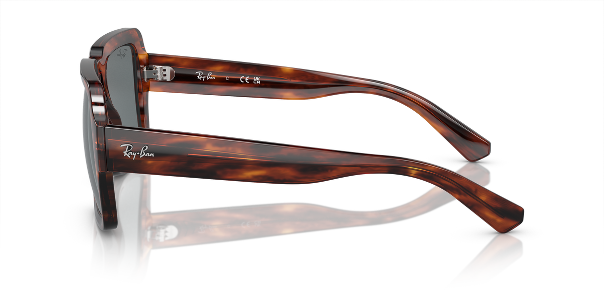 Солнцезащитные очки Ray-Ban Magellan RB4408 139880 54 19