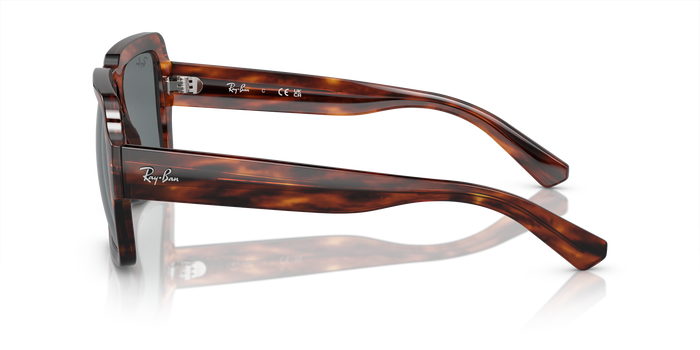 Gafas de Sol Ray-Ban Magellan RB4408 139880 54 19 — vista 3