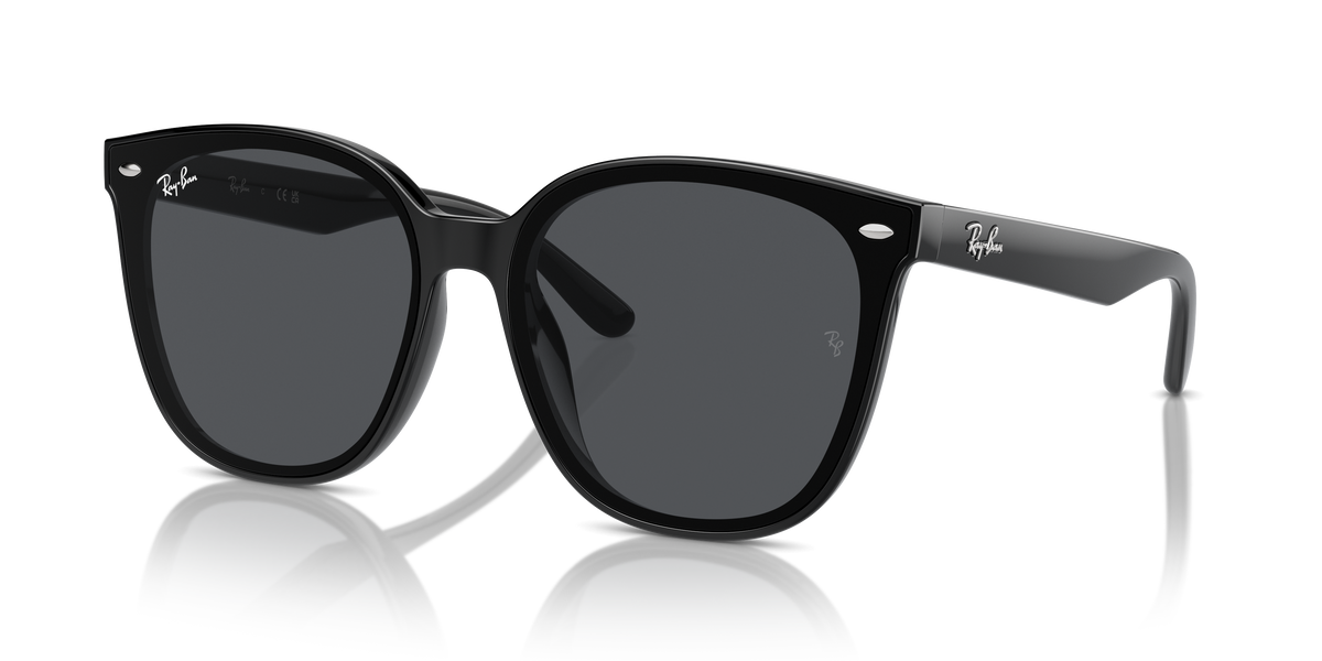 Sunglasses Ray-Ban RB4423D 601/87 66 15