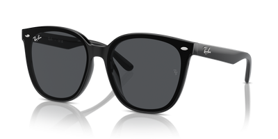Sunglasses Ray-Ban RB4423D 601/87 66 15