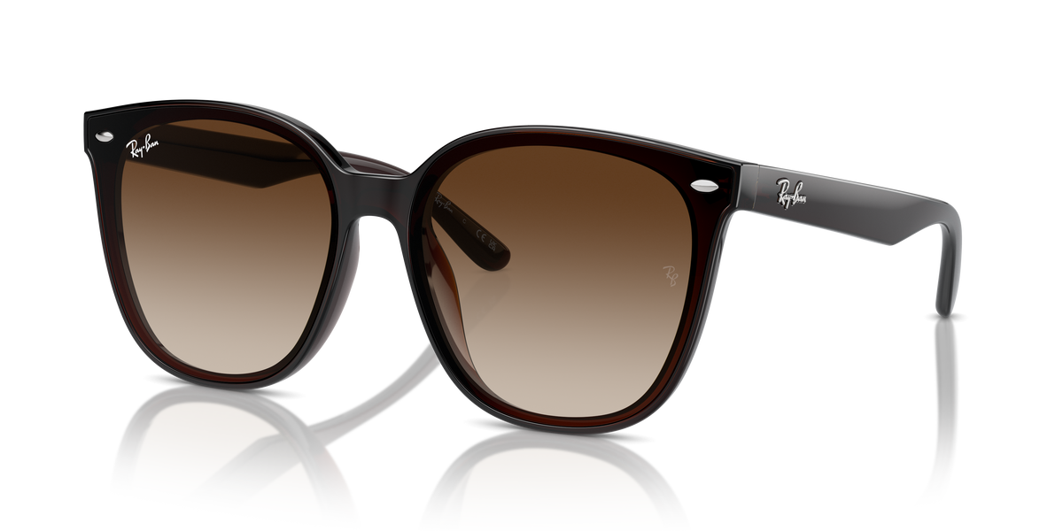Ray-Ban RB4423D 714/13 66 15 太阳镜