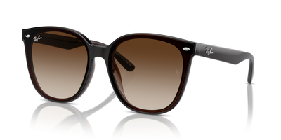 Sunglasses Ray-Ban RB4423D 714/13 66 15