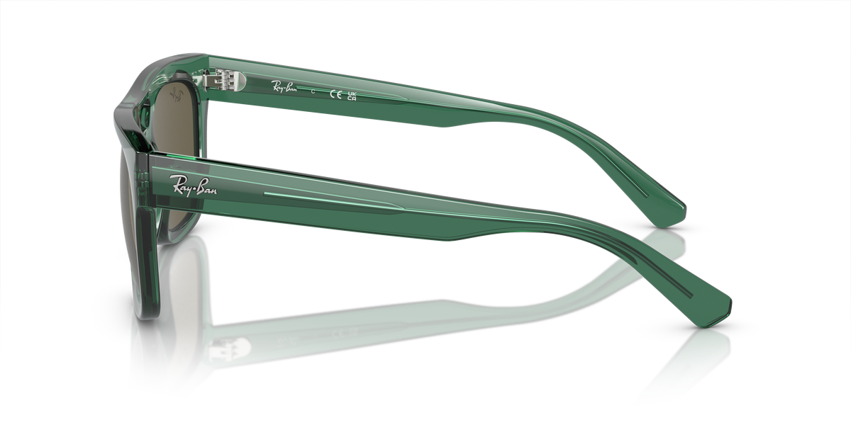 太阳镜 Ray-Ban Phil RB4426 6681/3 54 21
