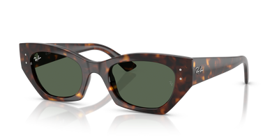 Ray-Ban RB4430 135971 渐变多焦点太阳镜 2种尺寸可选