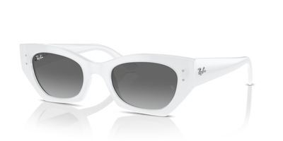 Ray-Ban ZENA RB4430 675911 49 22 太阳镜