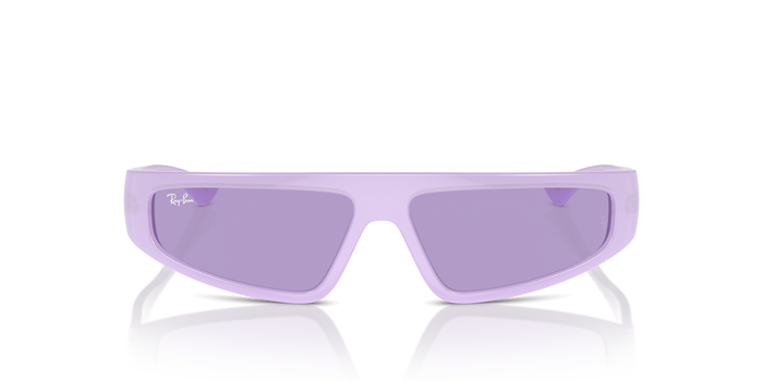 Sonnenbrille Ray-Ban Izaz RB4432 67581A 59 13 — vista 2