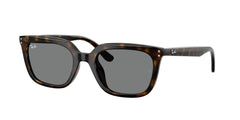 Gafas de Sol Ray-Ban RB4439D 710/87 54 21