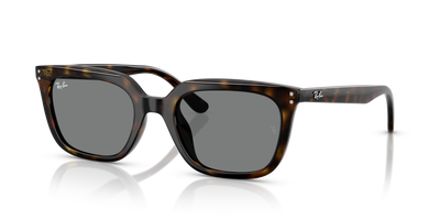 Sunglasses Ray-Ban RB4439D 710/87 54 21
