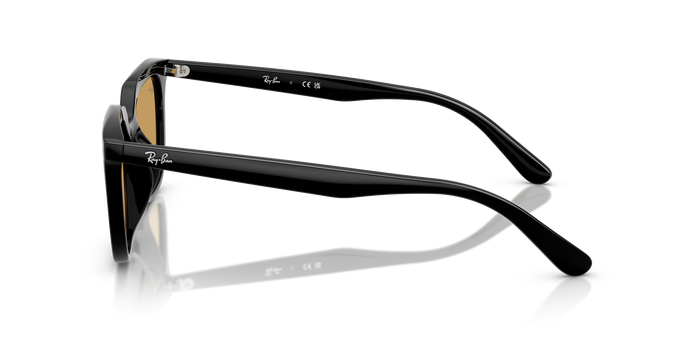 Sunglasses Ray-Ban RB4439D 901/73 54 21 — Image 3
