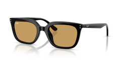 Sunglasses Ray-Ban RB4439D 901/73 54 21