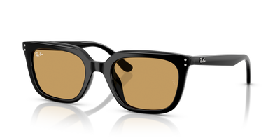 Sunglasses Ray-Ban RB4439D 901/73 54 21