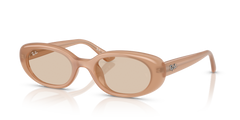 Sunglasses Ray-Ban Year Of The Horse Edition RB4441D 678793 53 21