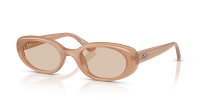 Sunglasses Ray-Ban Year Of The Horse Edition RB4441D 678793 53 21
