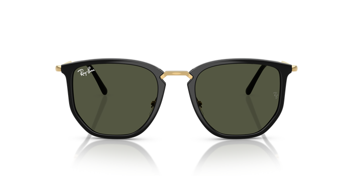 Gafas de Sol Ray-Ban RB4451 630631 — Imagen 2