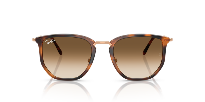 Ray-Ban RB4451 680451 50 20 太阳镜 — 图片 2