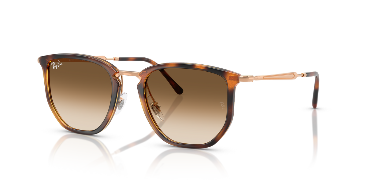Sunglasses Ray-Ban RB4451 680451 50 20