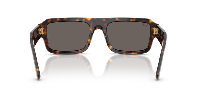 Sunglasses Ray-Ban FLACKO RB4454 1359B1 56 20 — Image 4