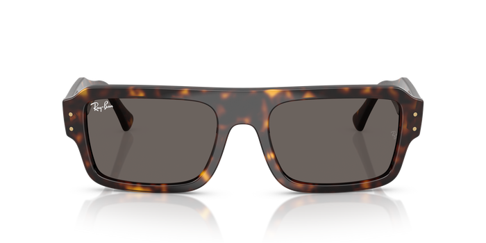 Sunglasses Ray-Ban FLACKO RB4454 1359B1 56 20 — Image 2