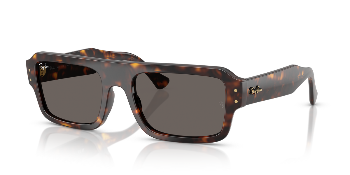 Ray-Ban RB4454 1359B1 56 20 太阳镜