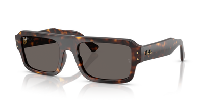 Ray-Ban RB4454 1359B1 56 20 太阳镜