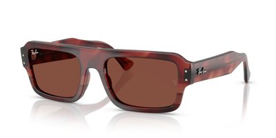 Ray-Ban FLACKO RB4454 1452C5 太阳镜