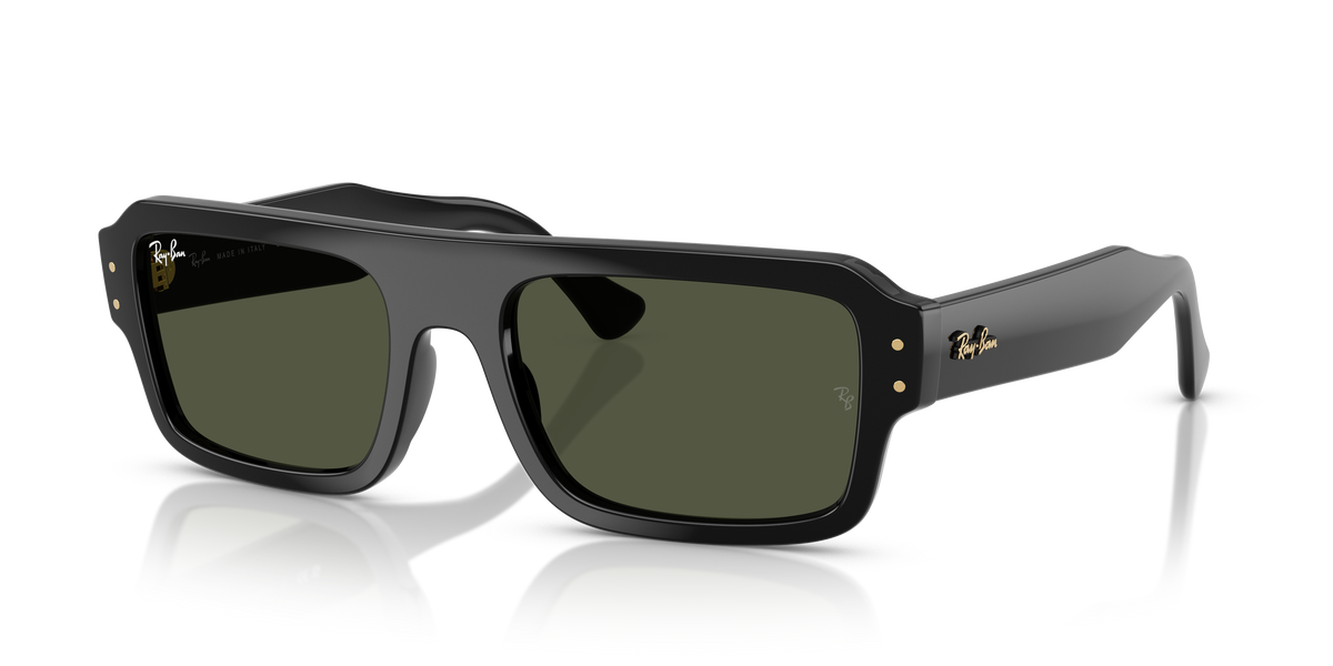 Ray-Ban FLACKO RB4454 667731 53 20 太阳镜