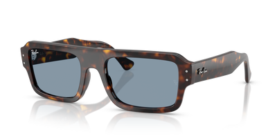 Ray-Ban FLACKO RB4454 902/56 太阳镜