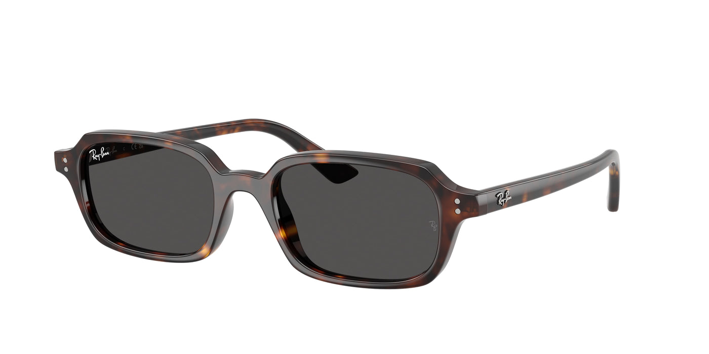 Gafas Graduadas Ray-Ban RB4455 135987 49 19