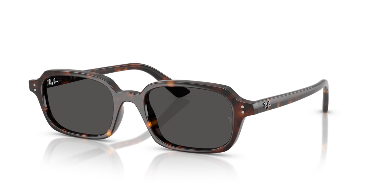 Sunglasses Ray-Ban ZURI RB4455 135987 49 19