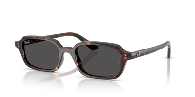 Sunglasses Ray-Ban ZURI RB4455 135987 49 19