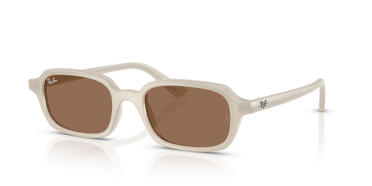 Ray-Ban ZURI RB4455 680873 太阳镜 52 19
