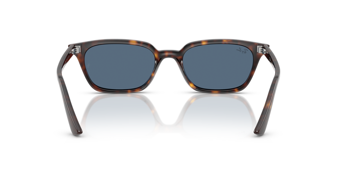 Ray-Ban RB4456 135980 53 19 太阳镜 — 图片 4