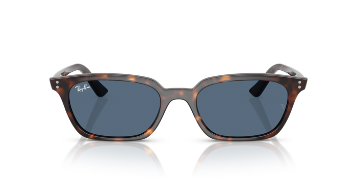 Ray-Ban RB4456 135980 53 19 太阳镜 — 图片 2