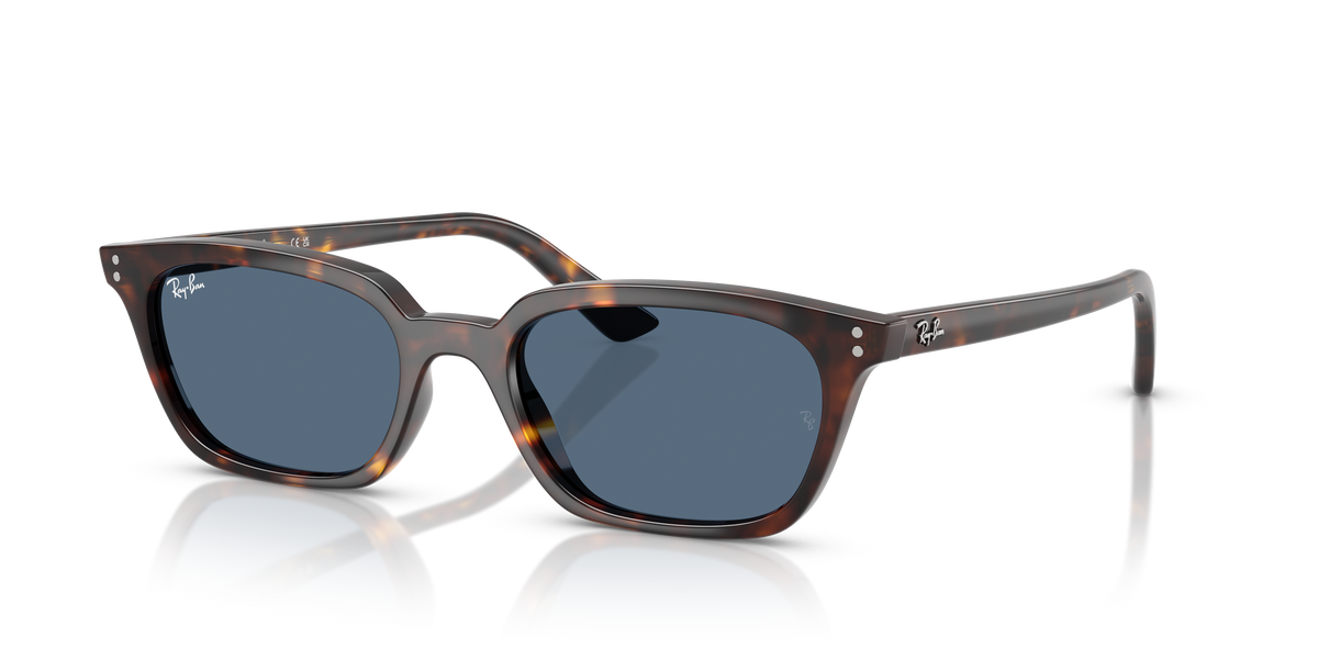 Ray-Ban RB4456 135980 53 19 太阳镜