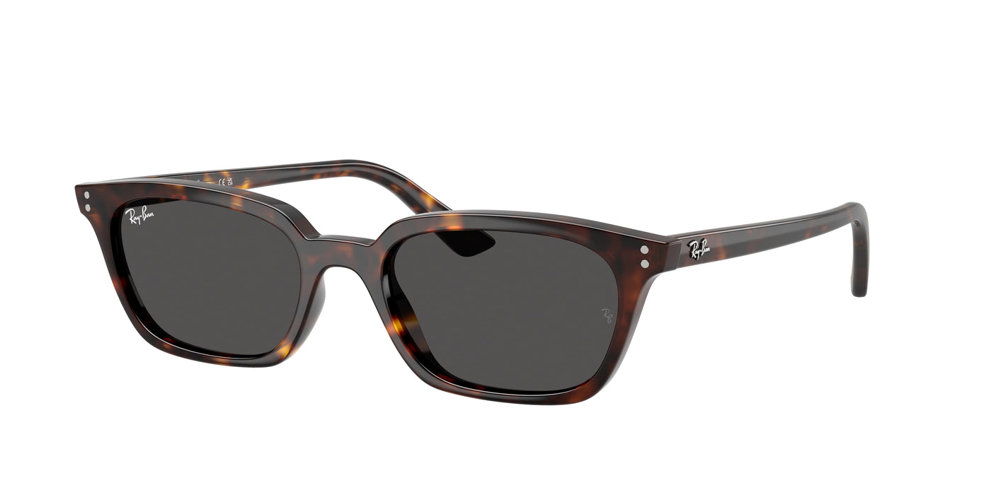 Gafas Graduadas Ray-Ban RB4456 135987 50 19