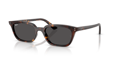 Lunettes de Soleil Ray-Ban ZAYA RB4456 135987 50 19
