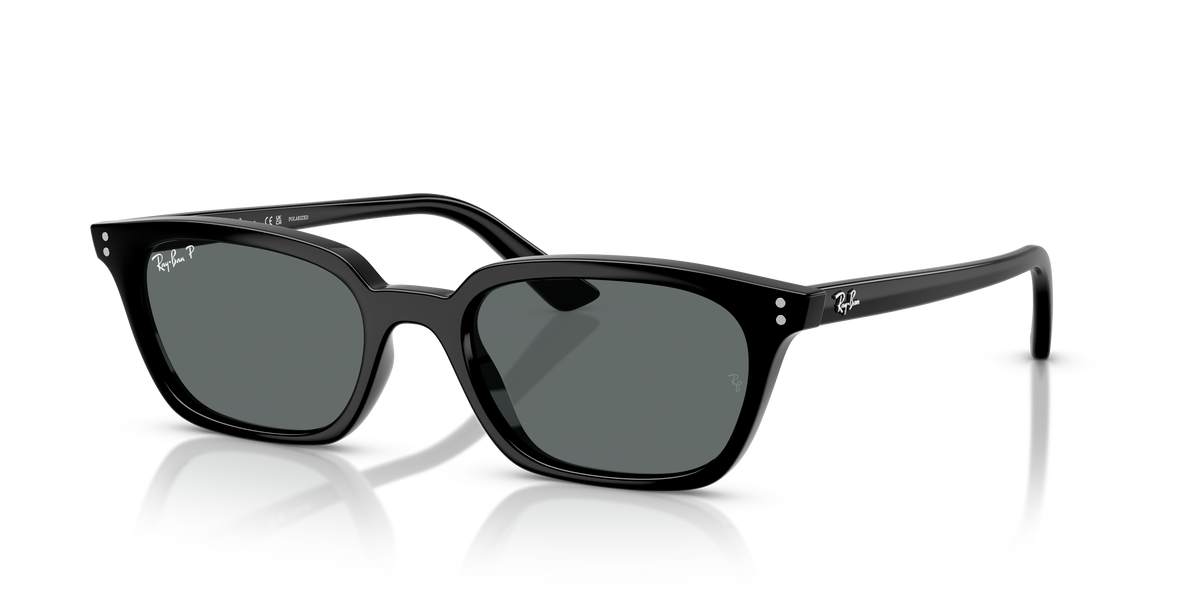 Sunglasses Ray-Ban ZAYA RB4456 667781 50 19