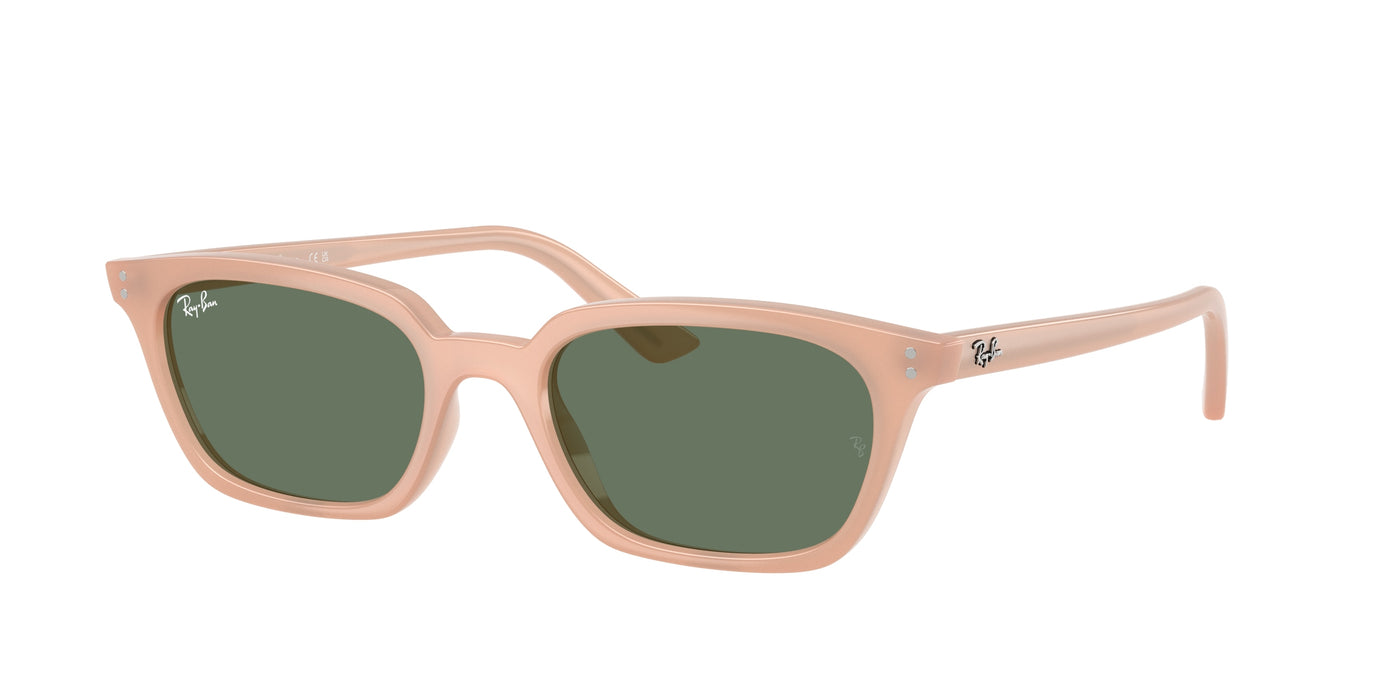 Gafas Graduadas Ray-Ban RB4456 681182