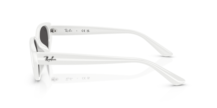 Ray-Ban RB4457D 677287 太阳镜 55 19 — 图片 3
