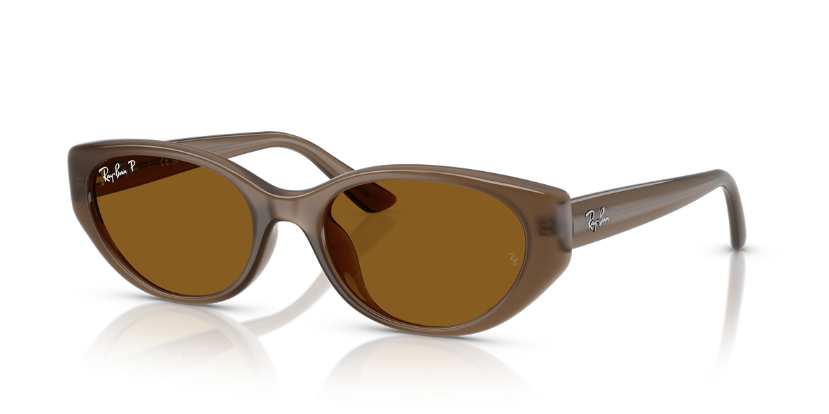 Sonnenbrille Ray-Ban Bio RB4457D 677983 55 19