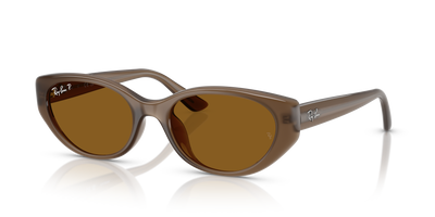 Sunglasses Ray-Ban Bio RB4457D 677983 55 19