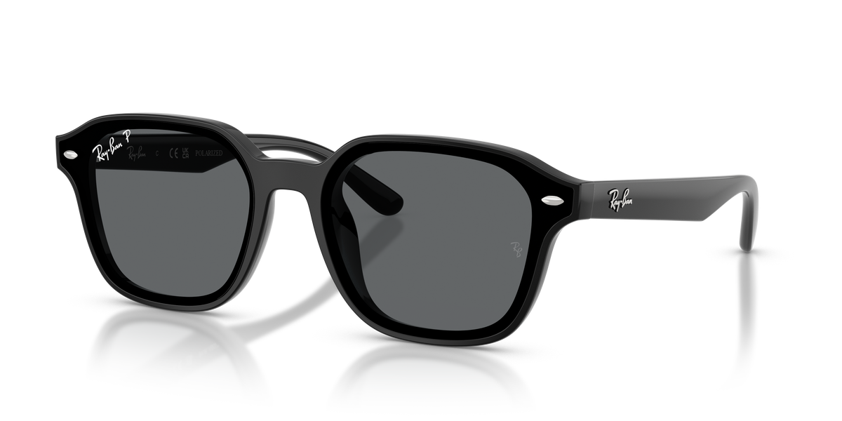 Ray-Ban RB4458D 601/81 65 18 太阳镜