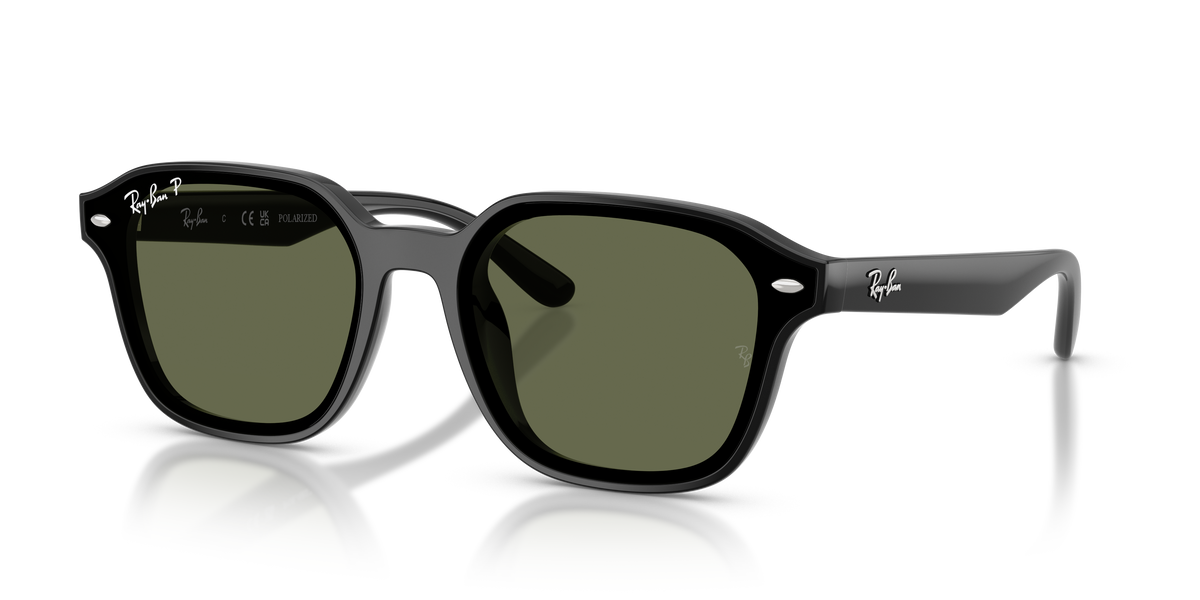 Ray-Ban RB4458D 601/9A 65 18 太阳镜